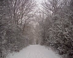 Laufstrecke Winter Januar 2009