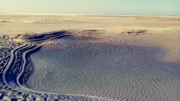 20220311_141459_Film1