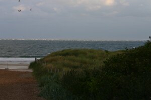 Renesse 2006 013