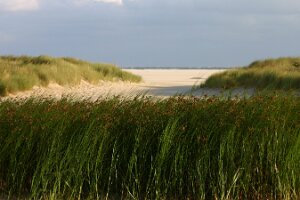 Renesse 2006 022