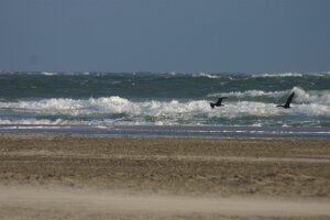 Renesse 2006 025