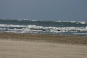 Renesse 2006 026